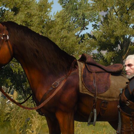 Cavalo que interpretou Plotva em The Witcher falece