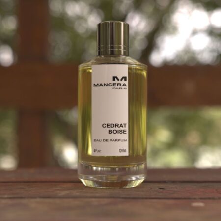 Time 3DMAX encerra parceria com CSGOEmpire após críticas da comunidade