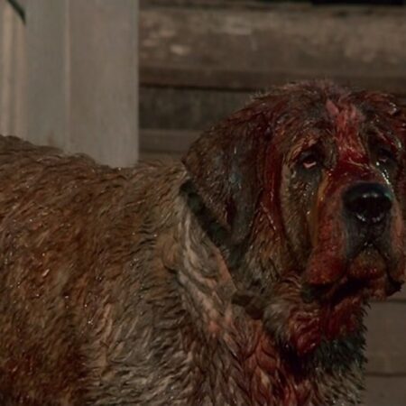 Netflix prepara remake do clássico de terror “Cujo” de Stephen King