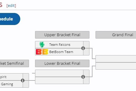 Jogadores do Team Spirit enfrentam problemas técnicos na final da DreamLeague S25 – Jogo pode ser adiado