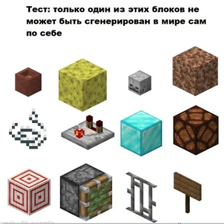 Teste seus conhecimentos de Minecraft!