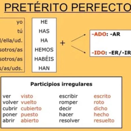 Perfecto Destaca a Importância da Rotina de Treinamento no CS2