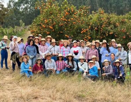 Woolhaven: A Nova Fronteira Gélida do Culto do Cordeiro Chega em 2026!
