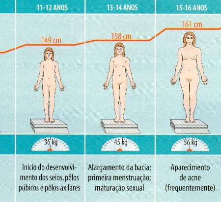Flórida Contra o Mundo Digital Adulto: Uma Cruzada Pela Verificação de Idade Online