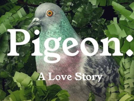 Pigeon: A Love Story – Onde o Voo Urbano Encontra a Busca Pelo Amor Verdadeiro