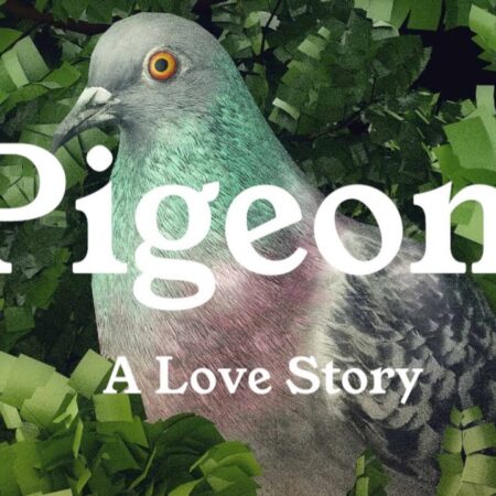 Pigeon: A Love Story – Onde o Voo Urbano Encontra a Busca Pelo Amor Verdadeiro