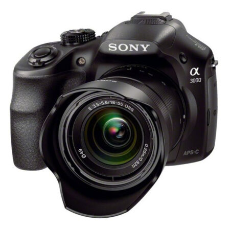 A Grande Caçada da Sony: A Estratégia Audaciosa para Adquirir Franquias de Peso